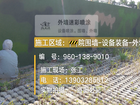 舒兰外墙迷彩漆材料价约 45-60 元 /k