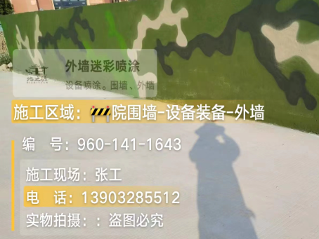 舒兰 迷彩漆喷涂价格（按平方米计费）