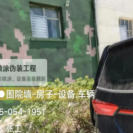 舒兰数码迷彩漆施工
